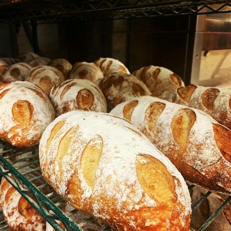 bakeka trieste|The 38 best bakeries in Trieste